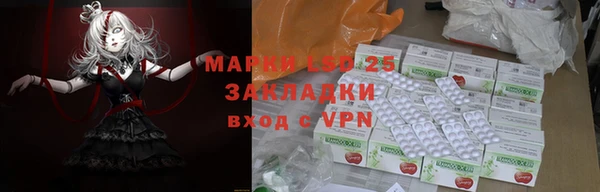 ГАЛЛЮЦИНОГЕННЫЕ ГРИБЫ Абаза