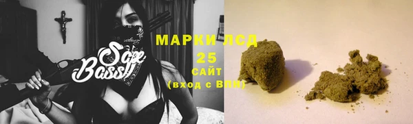 ГАЛЛЮЦИНОГЕННЫЕ ГРИБЫ Абаза