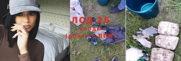 ГАЛЛЮЦИНОГЕННЫЕ ГРИБЫ Абаза