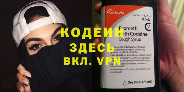 ГАЛЛЮЦИНОГЕННЫЕ ГРИБЫ Абаза