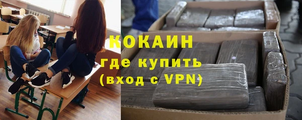 ГАЛЛЮЦИНОГЕННЫЕ ГРИБЫ Абаза